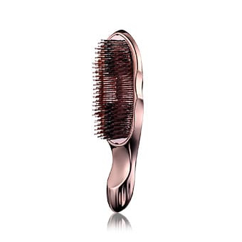 ReFa ION CARE BRUSH PREMIUM リファイオンケアブラシプレミアム