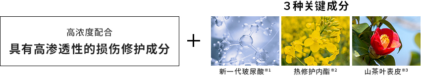 3种关键成分